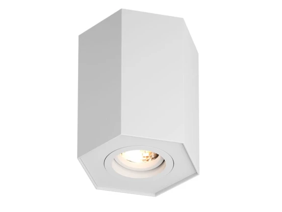 POLYGON CL R 20077-WH SPOT lampa techniczna Zuma Line.png